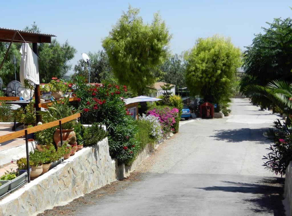 Camping Totana Park Dış mekan fotoğraf